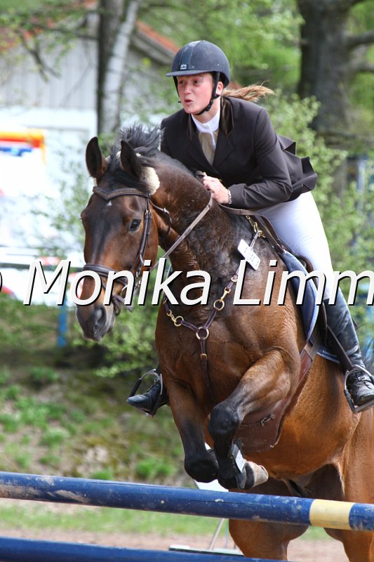 004M2209_Haeuslers Luftikus_Punkte L m. Joker.JPG